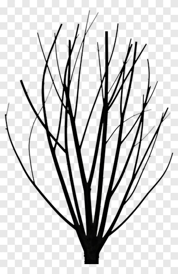 Silhouette Of A Tree PNG