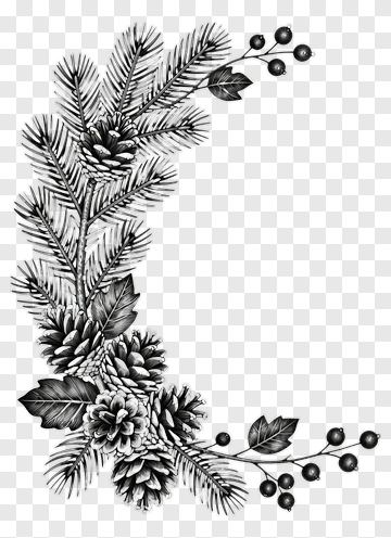 Hand-drawn Pinecone And Fir Branch Design PNG