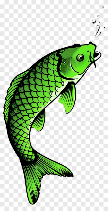 Green Koi Fish With Bubbles PNG