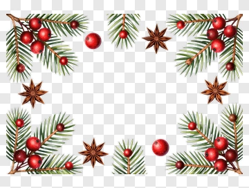 Festive Pine Branches With Red Berries And Star Anise PNG