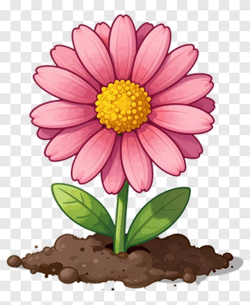 Pink Flower With Yellow Center PNG