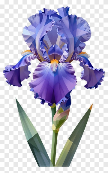 Blue Iris Flower With Geometric Design PNG