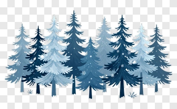 Blue Pine Trees In Winter PNG