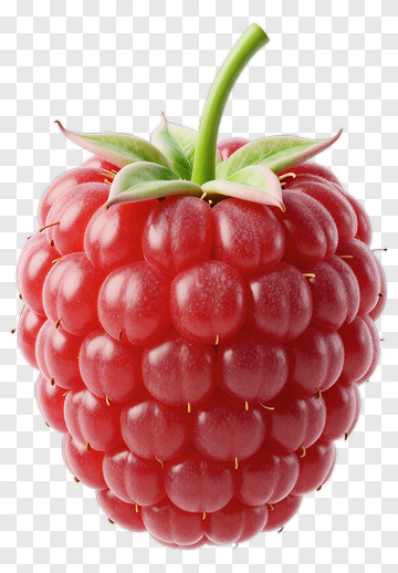Raspberry PNG