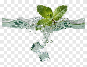 Mint Leaf With Ice Cube In Water PNG