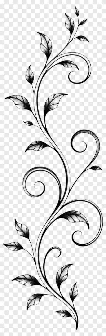 Black And White Vine With Leaves PNG