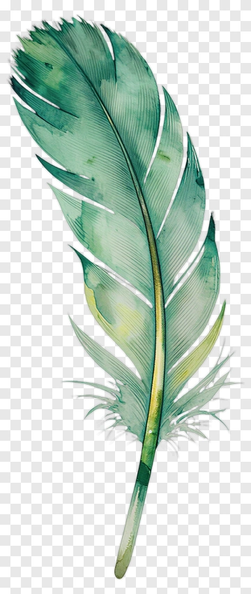 Green Feather Watercolor Illustration PNG