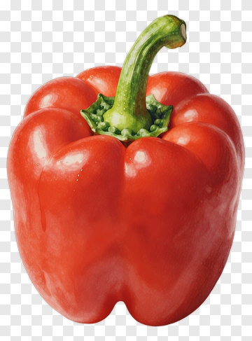 Red Pepper Watercolor Illustration PNG