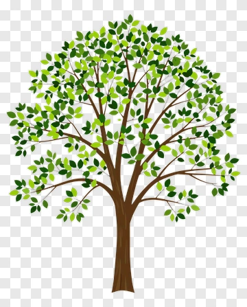 Tree With Green Leaves And Brown Trunk PNG