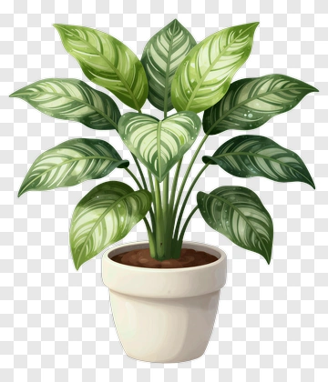 Potted Leafy Plant PNG