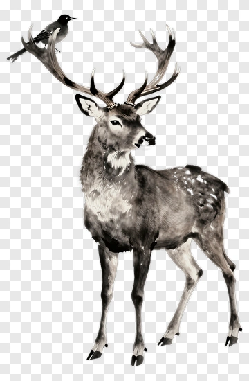 Deer With Bird On Antlers PNG
