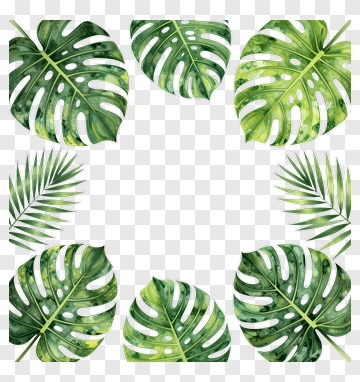 Tropical Leaf Border Design PNG