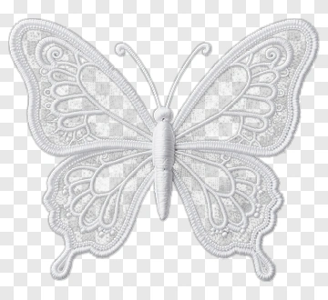White Lace Butterfly PNG