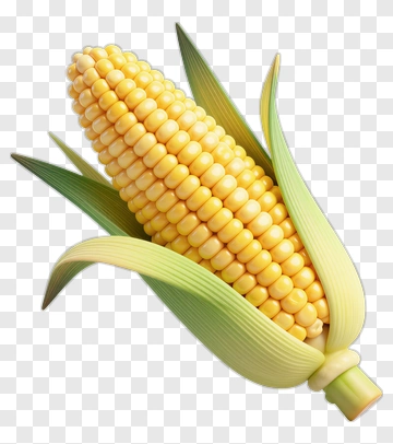 Corn With Green Leaf PNG
