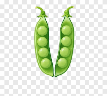 Two Green Pea Pods PNG