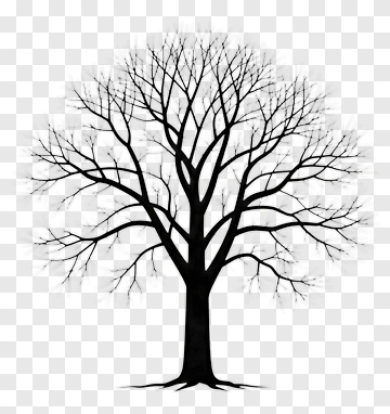 Bare Tree Silhouette PNG