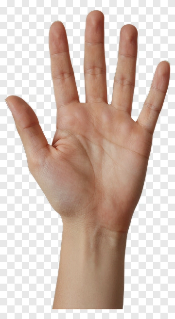 Hand With Five Fingers Extended PNG