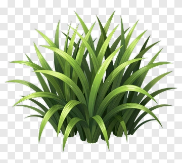 Green Grass Cluster PNG
