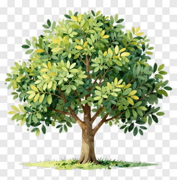 Watercolor Tree With Green And Yellow Leaves PNG