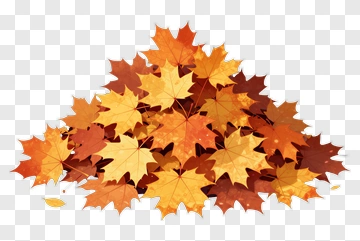 Pile Of Autumn Maple Leaves PNG