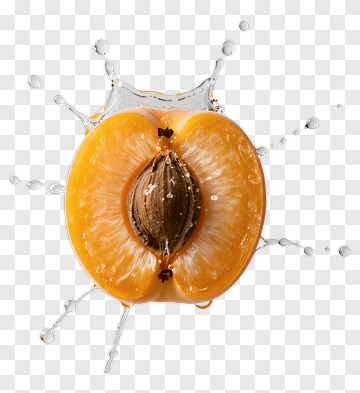 Sliced Apricot With Water Splash PNG