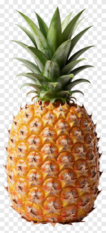 Pineapple PNG