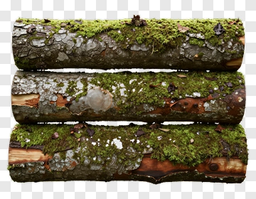 Stacked Logs Covered In Moss And Lichen PNG