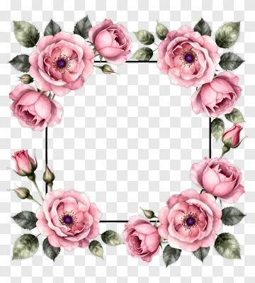 Pink Roses Flower Frame PNG