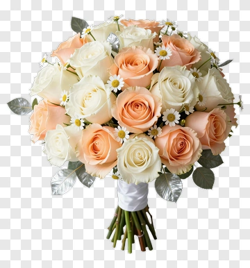 Pastel Rose And Daisy Bouquet PNG