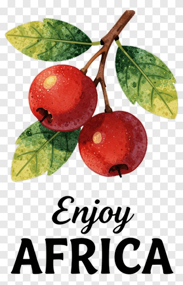 Watercolor African Fruit Branch PNG