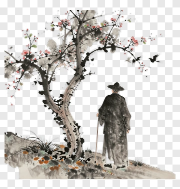 Man Under Cherry Blossom Tree PNG