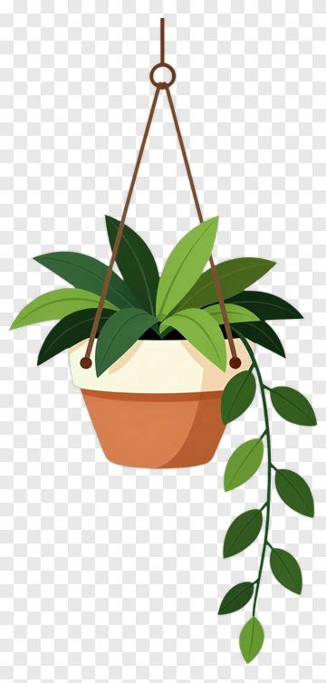 Hanging Plant With Leafy Vine PNG