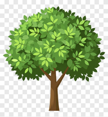 Cartoon Tree With Green Leaves PNG