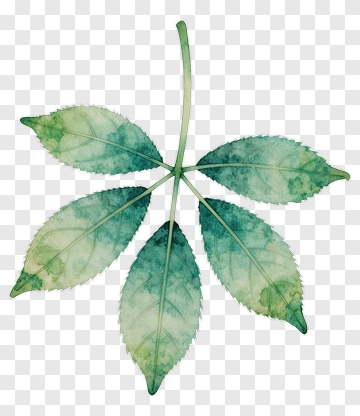 Watercolor Leaf PNG