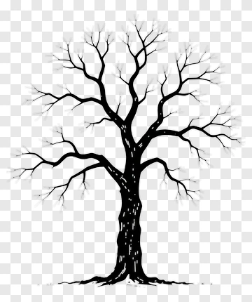 Bare Tree Outline Drawing PNG