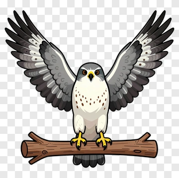 Cartoon Falcon With Spread Wings PNG