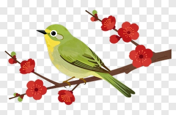 Green Bird On Red Flower Branch PNG