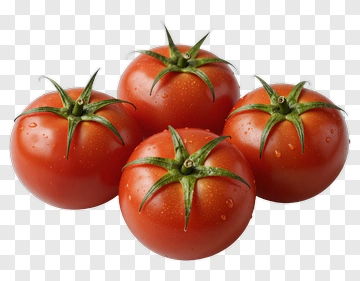 Fresh Red Tomatoes With Green Stems PNG
