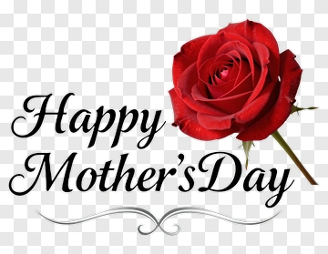 Happy Mother's Day With Red Rose PNG