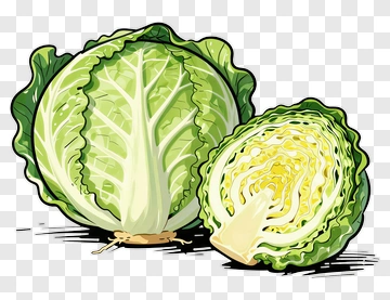 Cartoon Cabbage PNG