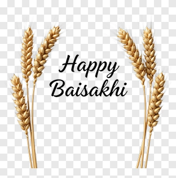 Happy Baisakhi With Wheat Ears PNG