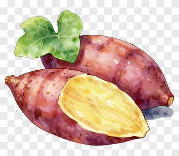 Sweet Potato With Leaf PNG