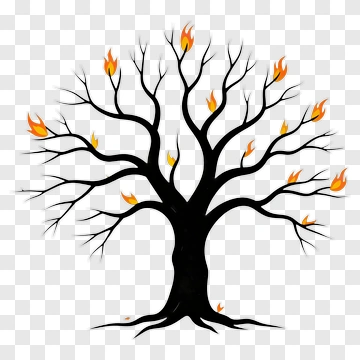 Tree With Fire PNG