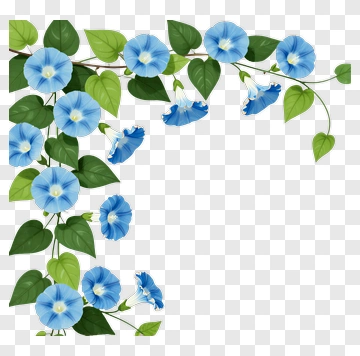 Blue Morning Glory Flower Vine PNG
