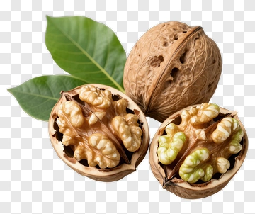 Walnut With Green Leaf PNG