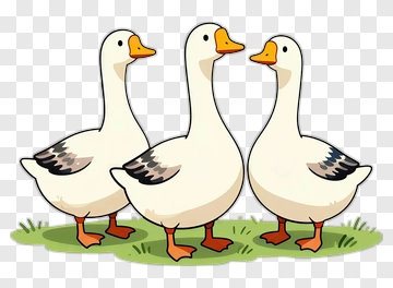 Three Geese Standing Together PNG