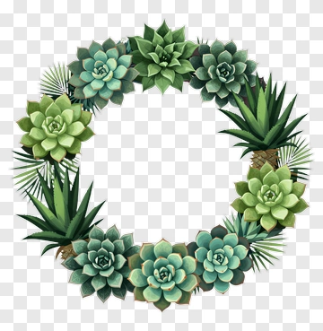 Succulent Wreath With Varied Green Tones PNG