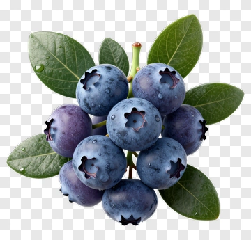 Cluster Of Fresh Blueberries With Leaves PNG