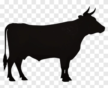 Black Cow Silhouette PNG