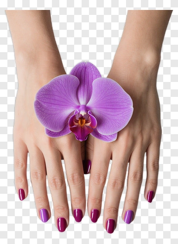 Hands Holding A Purple Orchid PNG